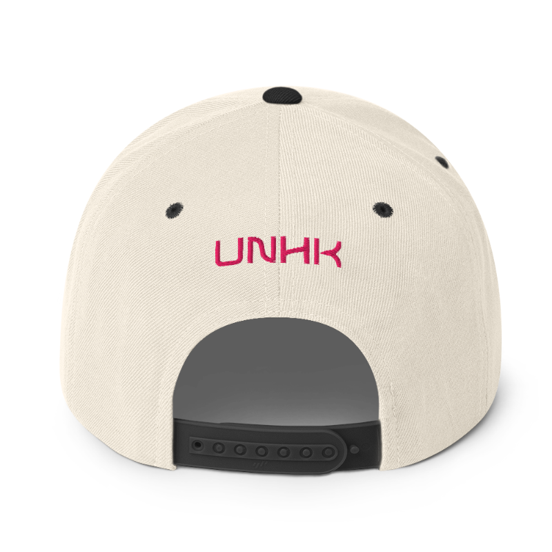 The Pit Snapback Hat | Back