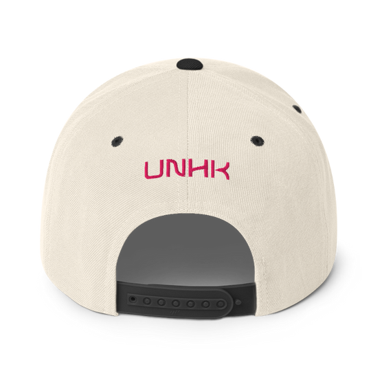 The Pit Snapback Hat | Back